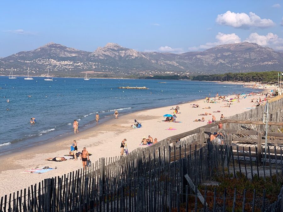 Calvi Beach in Corsica, showcasing sunbathers and beachgoers with a fence lining the sandy shore.