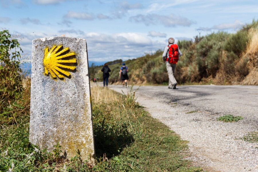 Pilgrims on Camino de Santiago path with scallop marker and vibrant nature scenery.