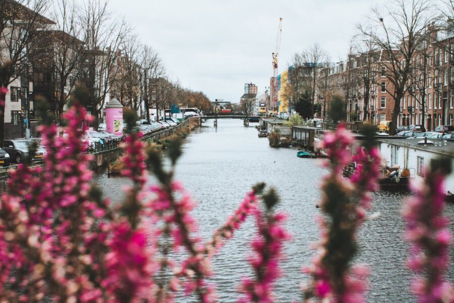 Urban canal scene with pink flowers, historical architecture, cars, and construction crane.