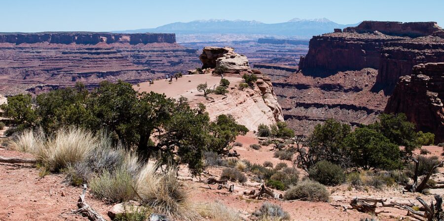 Person riding a horse through a scenic canyon in Canyonlands National Park, surrounded by stunning rock formations.