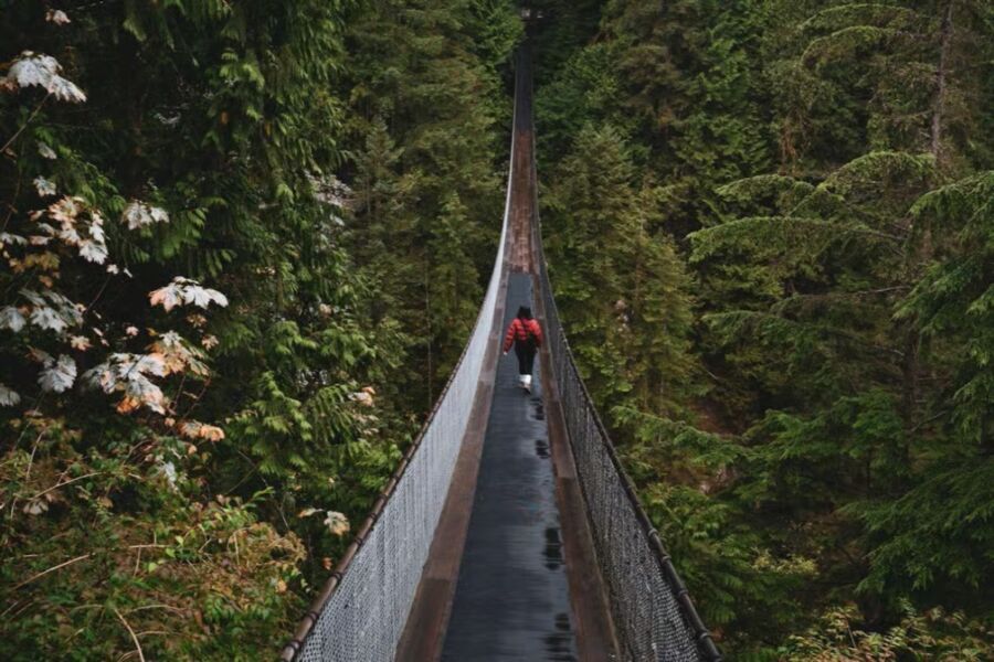 Visitor traverses the Capilano Suspension Bridge, enveloped by dense forest on a personalized walking tour in North Vancouver.