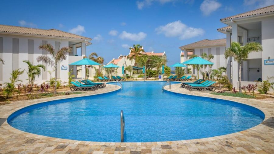 The pool at Captain Don’s Habitat beach club resort in Aruba, surrounded by palm trees and lounge chairs.