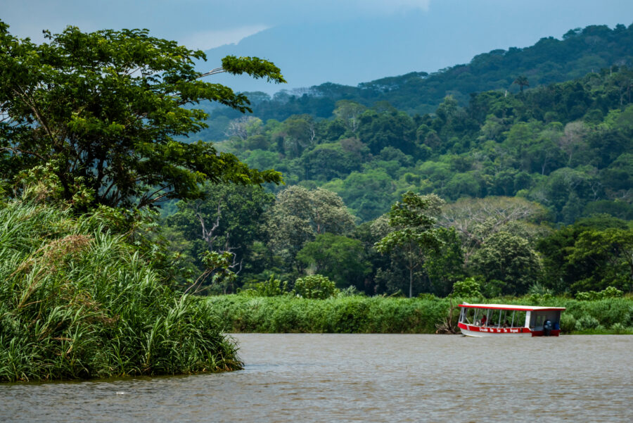 Scenic boat tour on the Tarcoles River, surrounded by vibrant nature in Carara National Park, Puntarenas Province, Costa Rica
