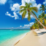Tropical beach in Punta Cana, Dominican Republic