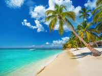 Tropical beach in Punta Cana, Dominican Republic