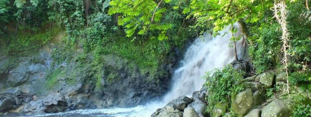 Cascada De Texolo