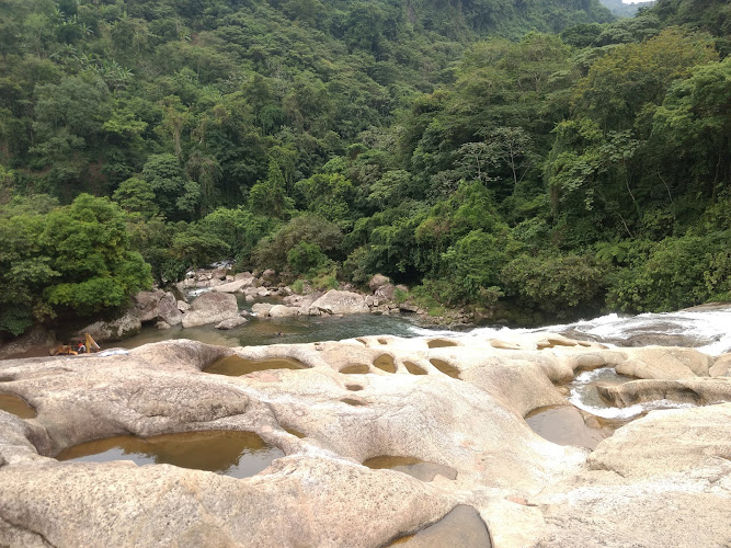 cascade hammocks