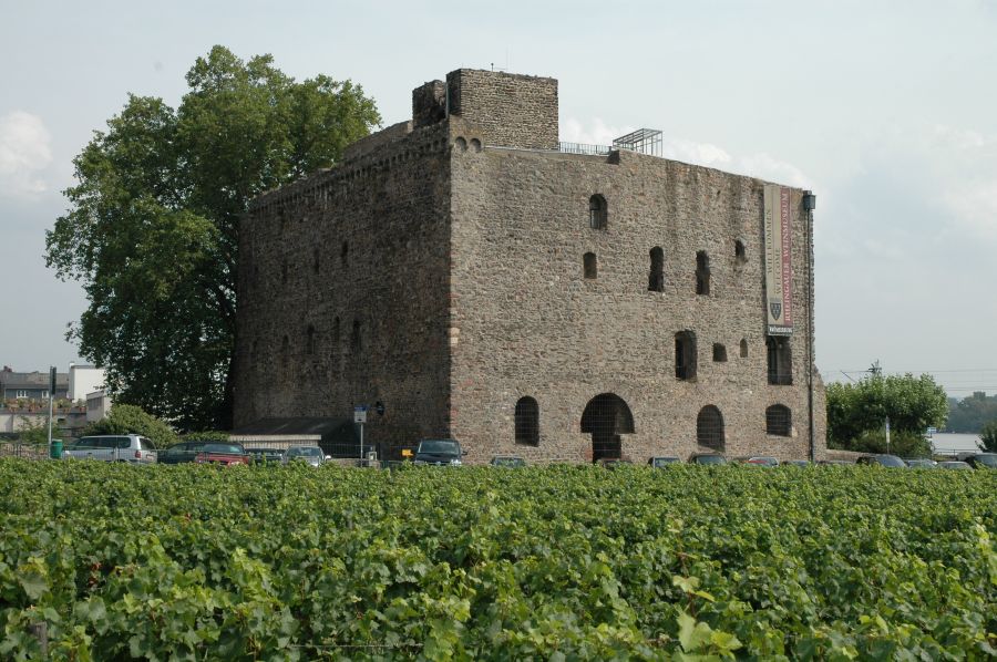 Rudesheim's Past