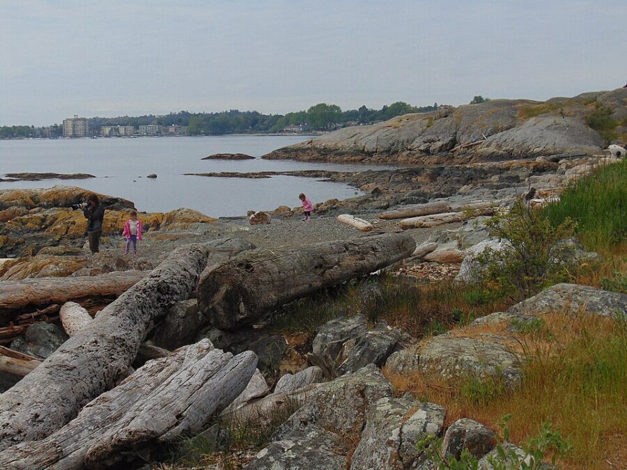 Person stands on a rocky shoreline at Cattle Point, Oak Bay, flying a colorful kite against a clear sky.