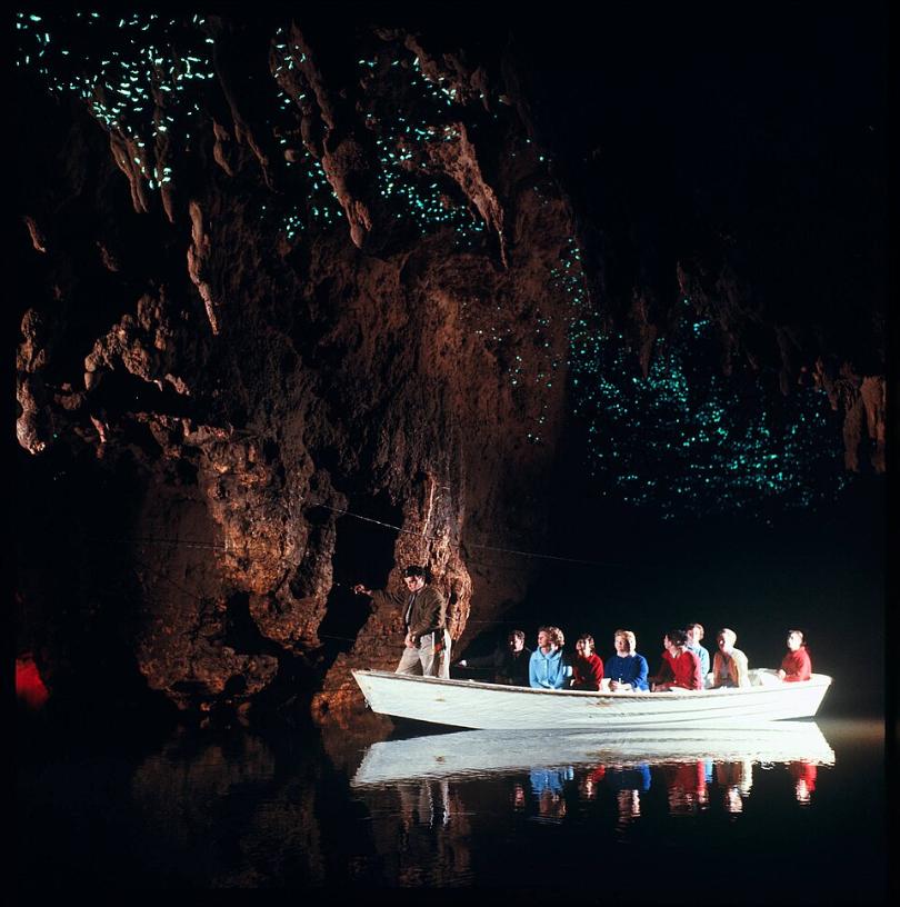 Bioluminescent cave tour with boat, glowing ceiling, and tranquil waters.