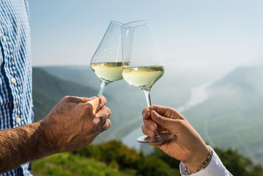 Wine Tasting and Vineyard Tours