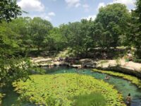 Cenote Xlacah