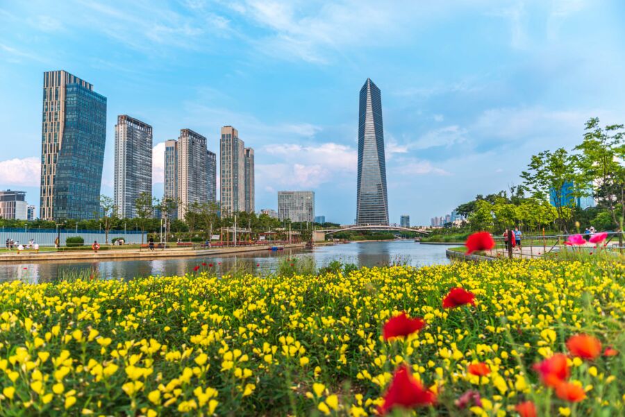 Beauty of Incheon Central Park within Songdo International Business District, featuring greenery