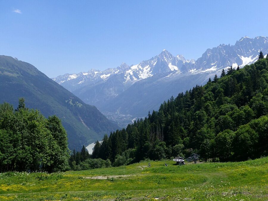 Lush green grass field in Chamonix Valley, France, with a panoramic view of the surrounding mountains.
