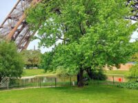 Champ de Mars