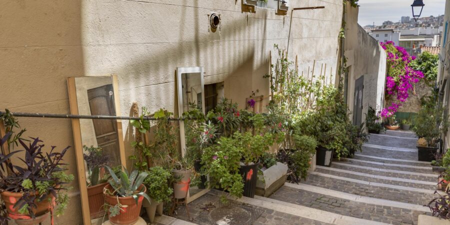 Charming cobblestone staircase with lush greenery and sunlight reflections in Le Panier District.
