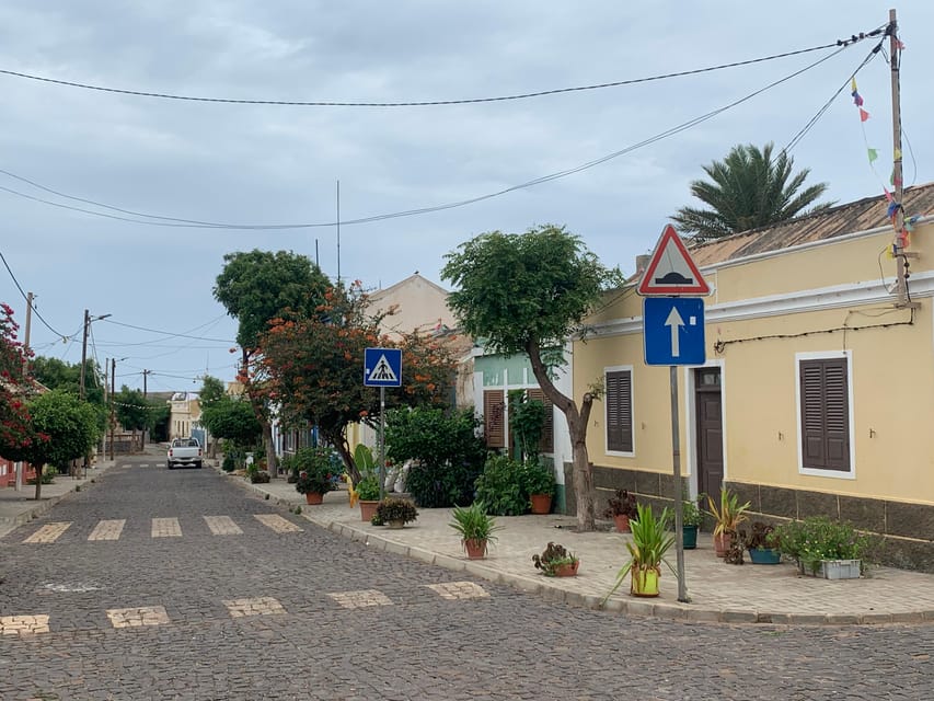 Charming cobblestone street with colorful houses, greenery, and pedestrian-friendly atmosphere in Boavista.