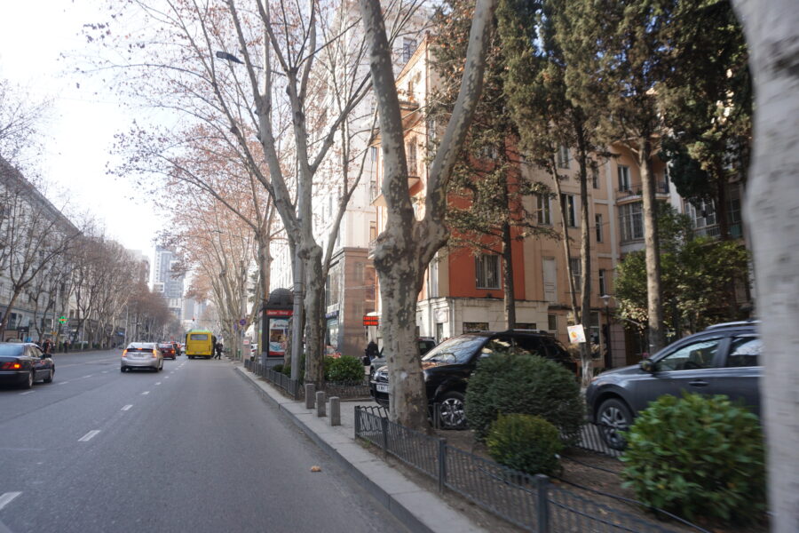 Chavchavadze Avenue in Tbilisi, featuring tree-lined streets and a mix of modern and traditional architecture.
