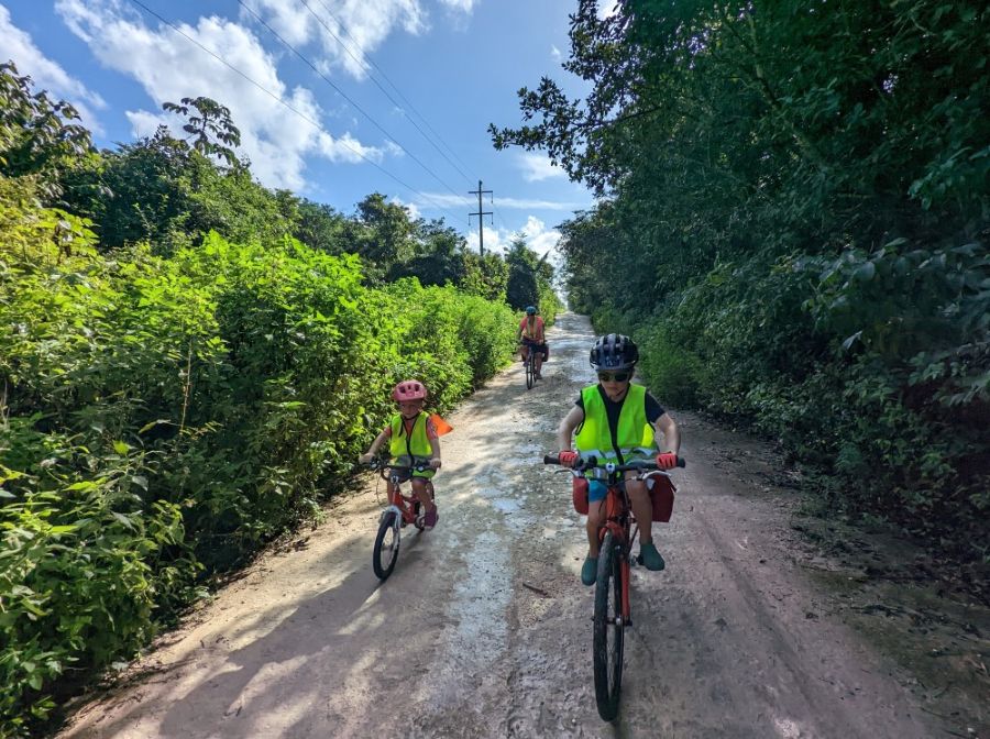 Walkability and Biking