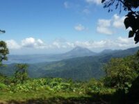 Children's Eternal Rainforest