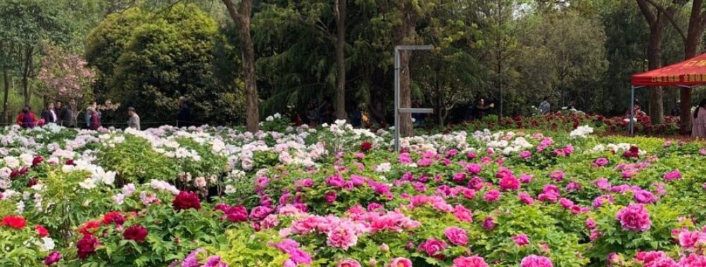 China National Flower Garden