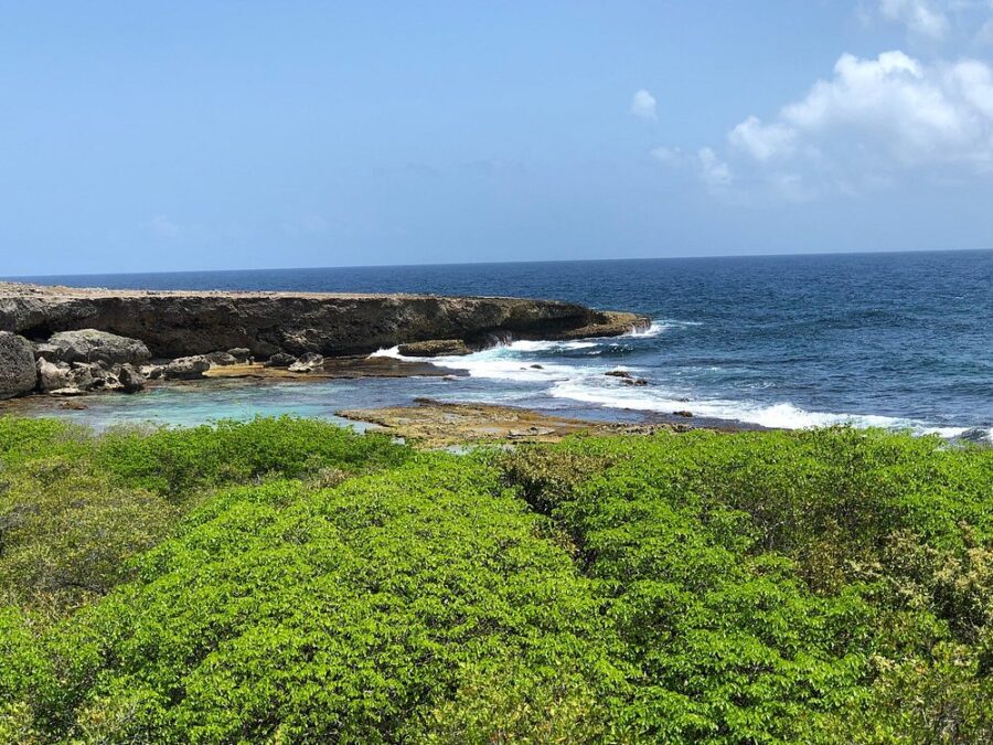 Beach landscape in Christoffel National Park, Curacao, showcasing a lighthouse beside a rugged rocky shore.
