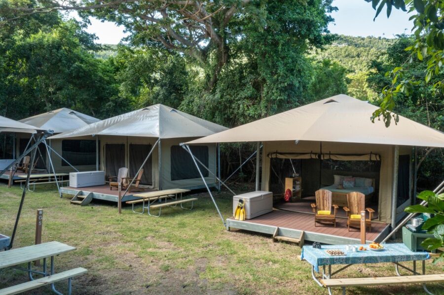 Several tents are pitched on the grassy area of Cinnamon Bay Campground in St. John.