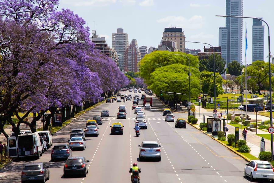 Busy city avenue with jacaranda trees, traffic, park, and skyline on Avenida del Libertador.