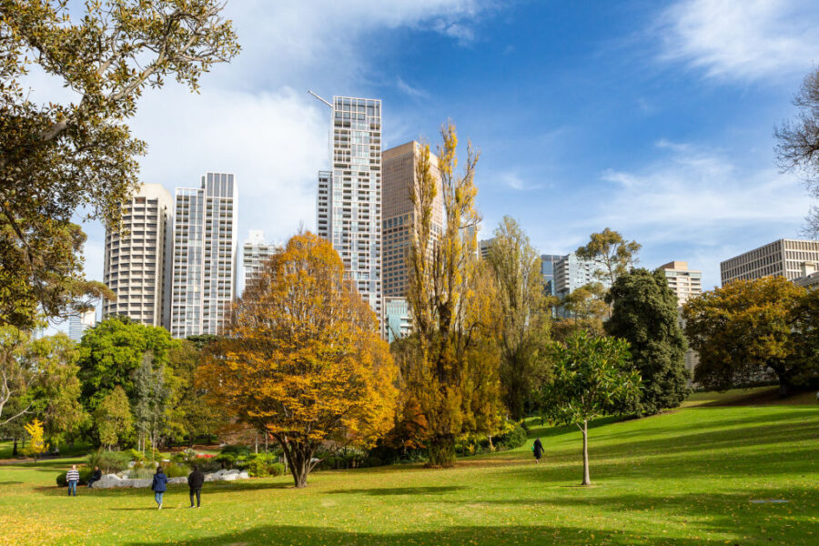Autumn city park in East Melbourne with green lawn, colorful trees and modern skyscraper skyline.