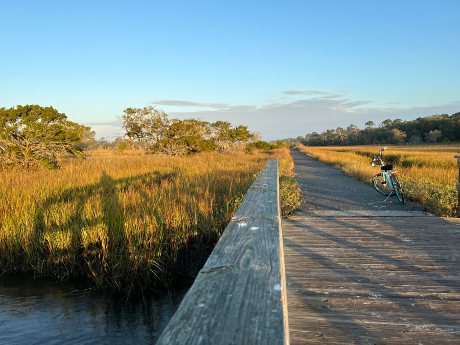 Early morning light illuminates the saltmarsh at Clam Creek, highlighting the tranquil beauty of Jekyll Island, Georgia.
