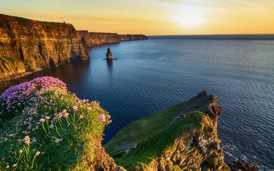 Breathtaking Cliffs of Moher at sunset with wildflowers, Atlantic Ocean, and dramatic rock formations.