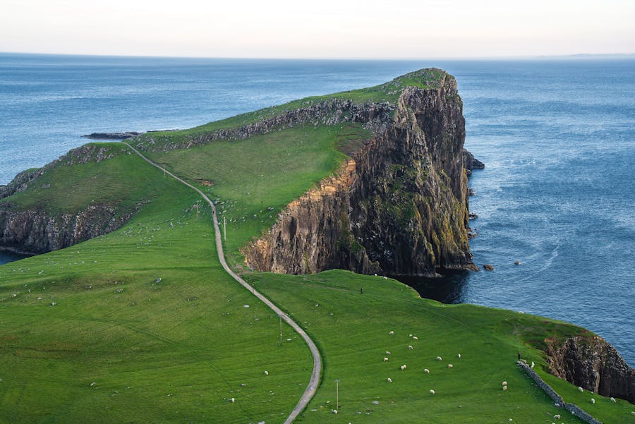 Dramatic coastal cliffs, lush fields, serene ocean, winding path, and grazing sheep.