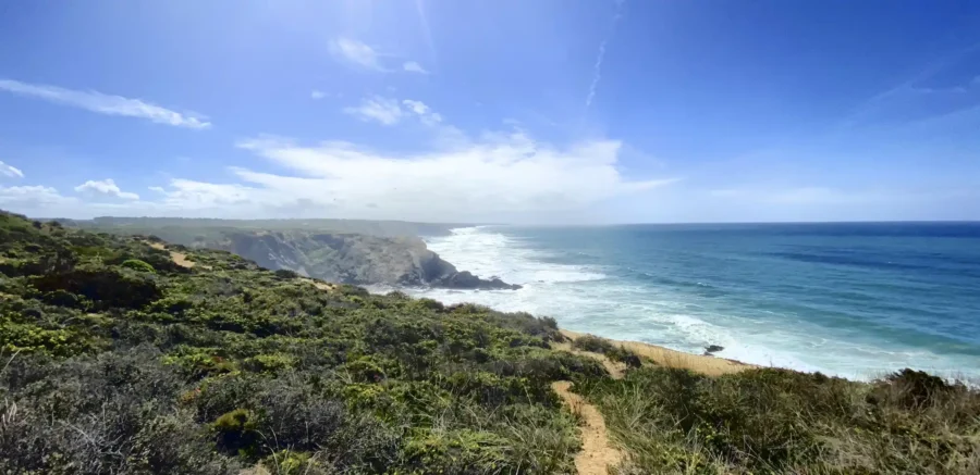 Coastal cliff path along rugged shoreline with surf and blue ocean under clear sky.