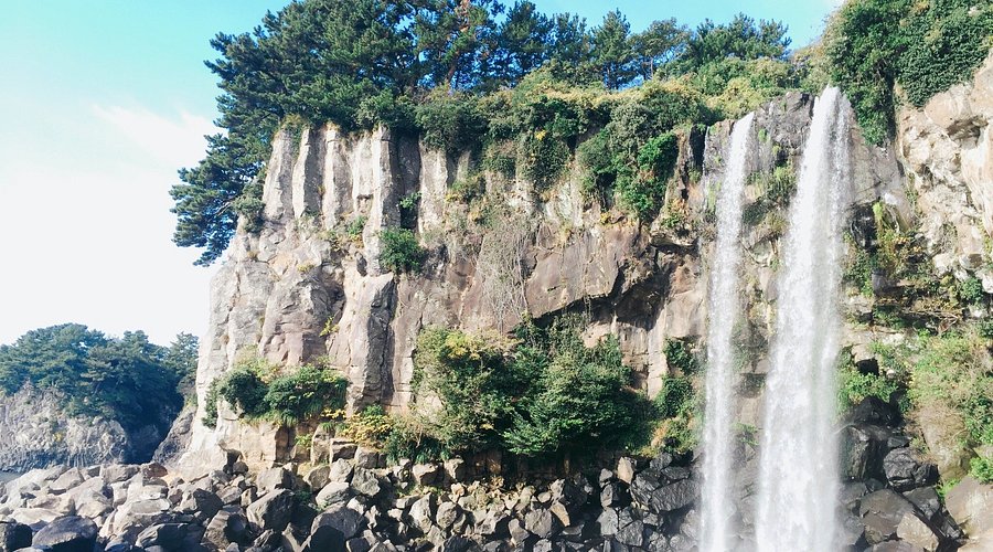 Dramatic Jeongbang Waterfall cascading down coastal basalt cliffs with lush forest and rocky shoreline.