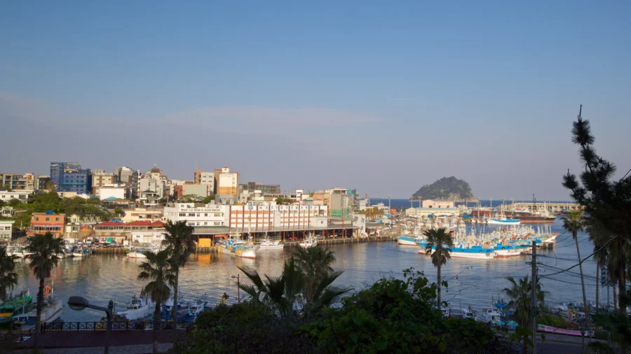 Sunny Seogwipo City fishing harbor with boats, waterfront buildings, palm trees, and calm blue sea.