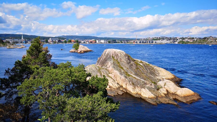 Coastal granite rocks and evergreen shoreline with blue ocean and distant marina.
