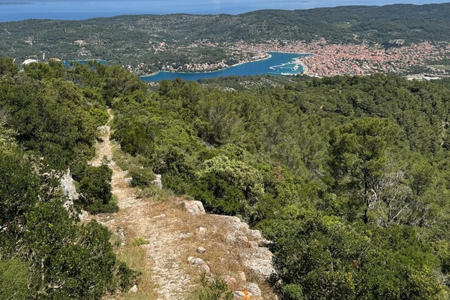 Coastal hiking trail on hill overlooking bay and seaside village.