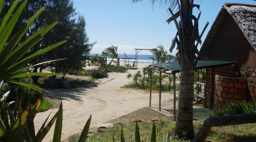 Tropical beach bungalow with sandy path, palm trees, and ocean view on a sunny coastline.