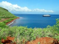 Galapagos Trip Cost: Unforgettable Adventure Under $3000