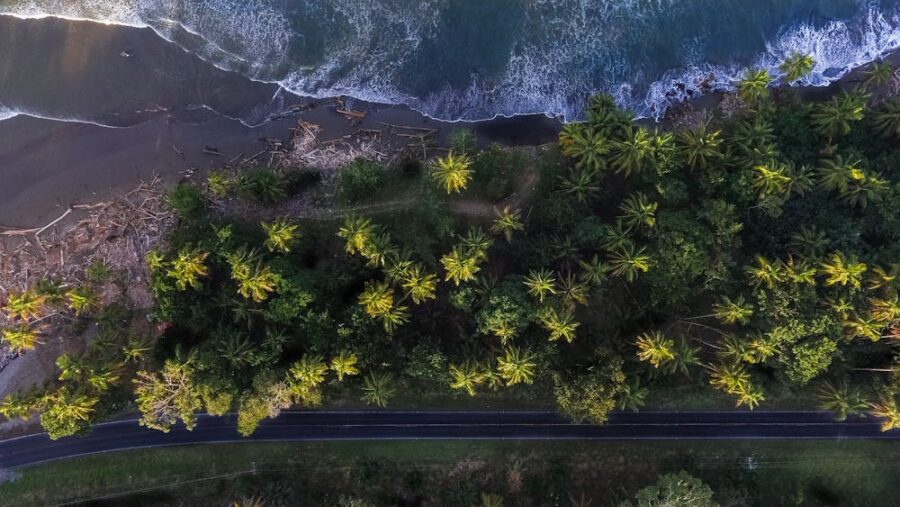 coastal landscape aerial