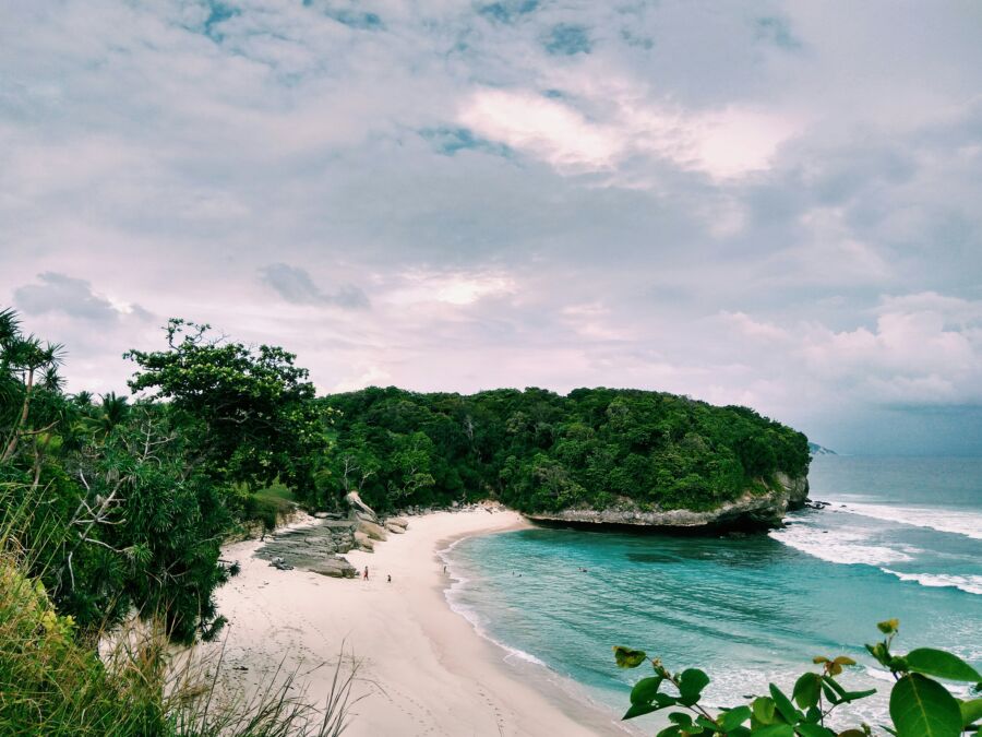 Lush greenery, and overcast skies on Sumba Island.