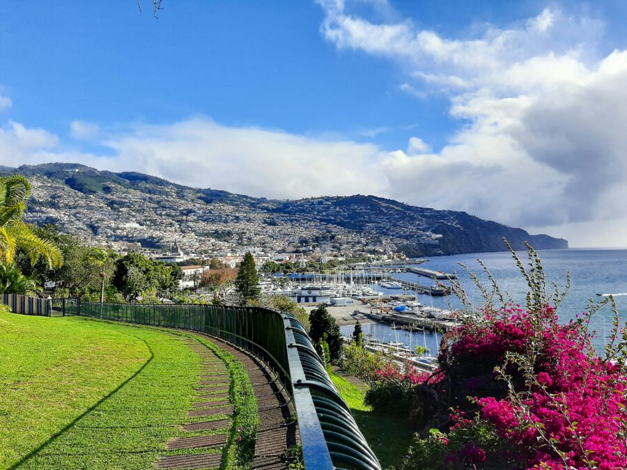 Funchal, Madeira marina and hillside panorama with boats and bougainvillea foreground.