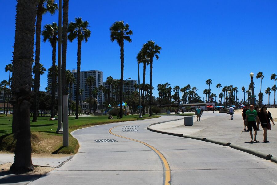 Santa Monica coastal path with palm trees, pedestrians, cyclists, blue sky, and modern buildings.