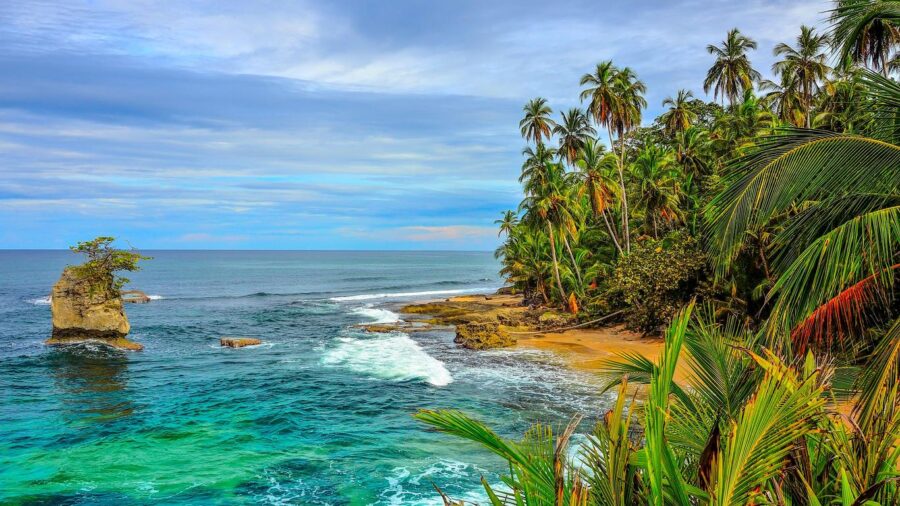 Tropical Costa Rica: Lush palms, serene ocean, golden beaches, scenic coastal escape.