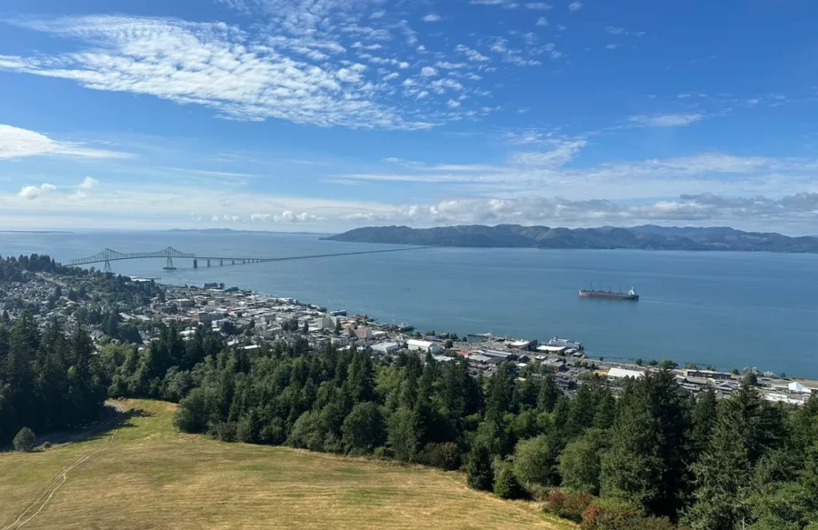 Panoramic coastal town and bay view with bridge, cargo ship, and meadow foreground.