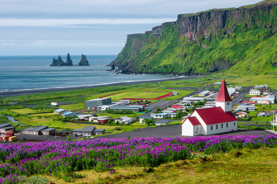 Scenic Icelandic coastal village with cliffs, wildflowers, church, beach, and ocean views.