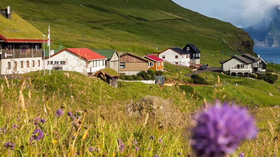 Faroe Islands coastal village guest houses in sunlit meadow with dramatic sea cliffs.