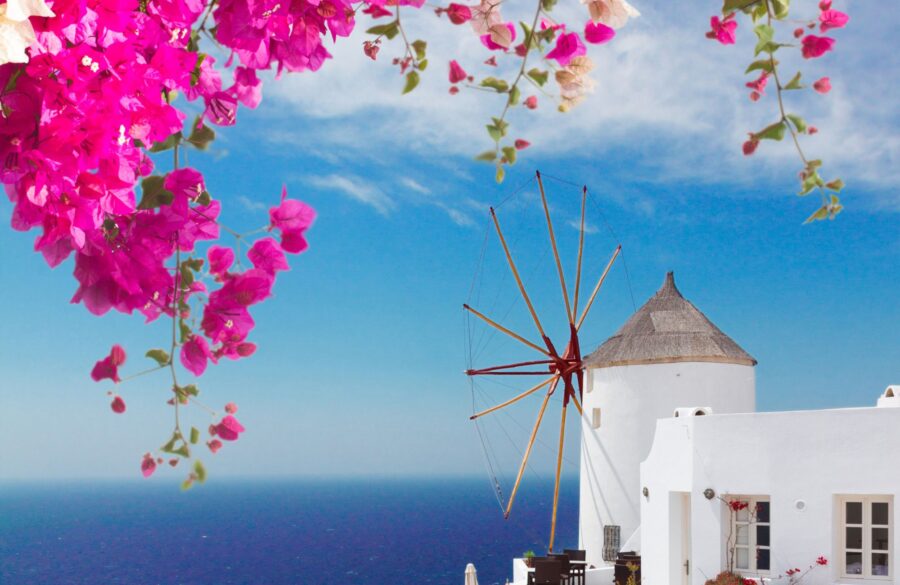 Traditional Greek island windmill and bougainvillea with ocean view.
