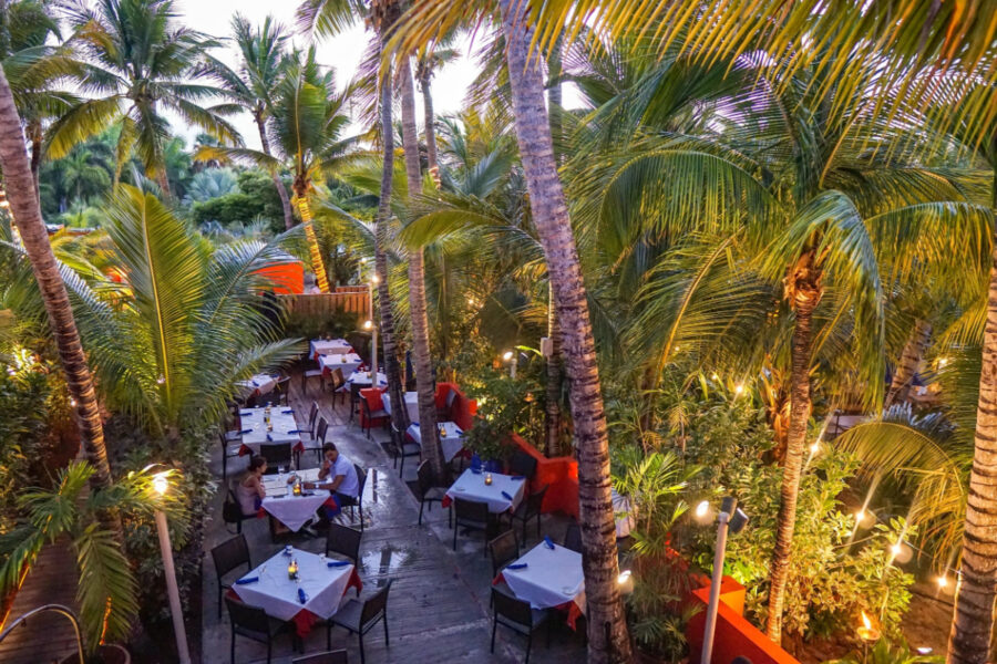 . Coco Bistro in Turks and Caicos, an open-air restaurant with tables under palm trees, creating a welcoming, tropical atmosphere