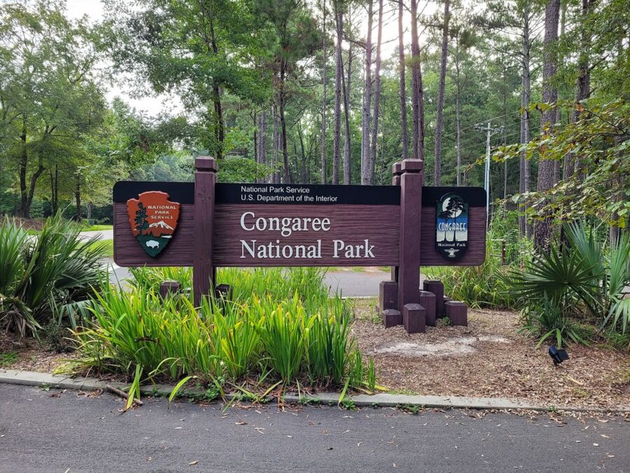 Entrance sign to Congaree National Park in South Carolina, showcasing natural beauty and lush vegetation.